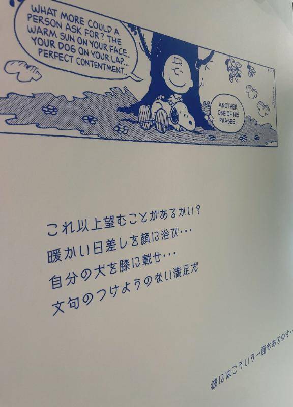 こはるpicture