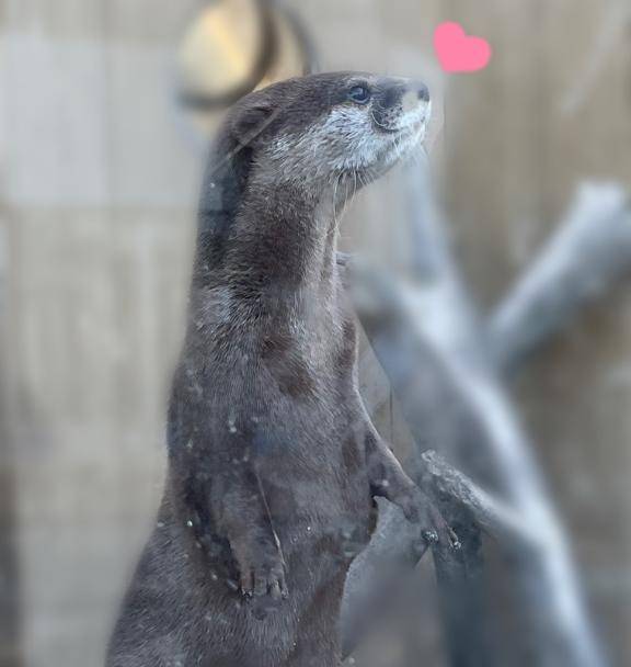 ひなつpicture