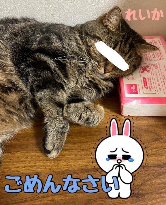 れいかpicture