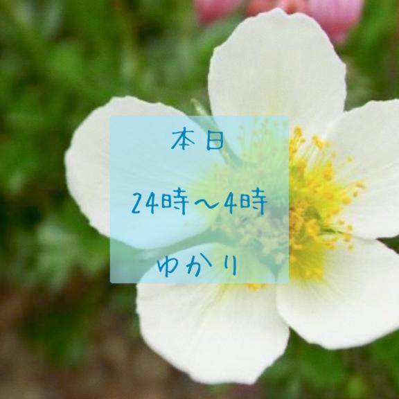 ゆかりpicture