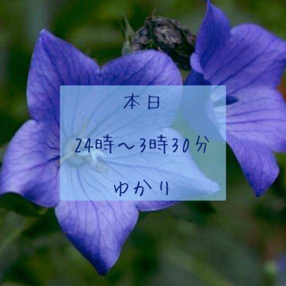 ゆかりpicture